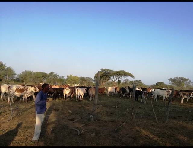 BUSINESS FOR SALE IN MANZINI